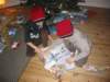 Photo Number 14