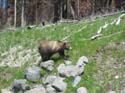 034_132_3226