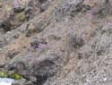 108-0907a_IMG