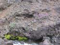 108-0909_IMG