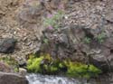 108-0911_IMG